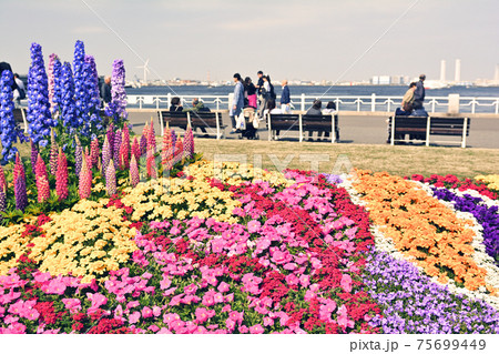 横浜・山下公園 横浜・山下公園 75699449