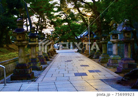 夕暮れ時の参道・石灯籠(住吉大社/大阪府大阪市住吉区住吉) 夕暮れ時の参道・石灯籠(住吉大社/大阪府大阪市住吉区住吉) 75699923