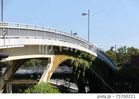 寝屋川にかかる大坂橋 75700221