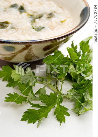 フーチーバージューシーとフーチバー　よもぎ雑炊とヨモギ 75700784