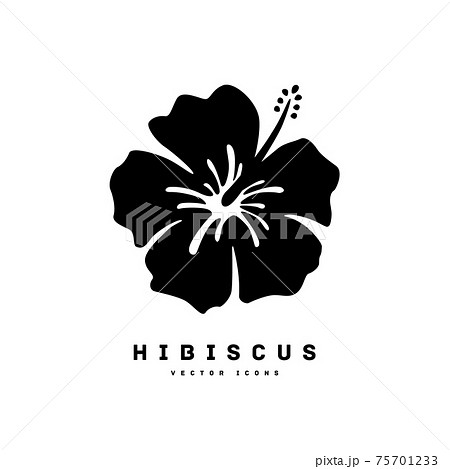 Hibiscus Silhouette Icon Stock Illustration