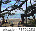夏の一色海岸 75701258