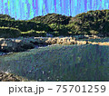 神奈川の秘境の海 75701259