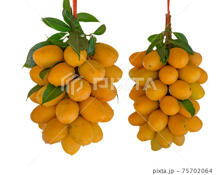 Die cut of Fresh of Marian plum (Thai fruit) 75702064