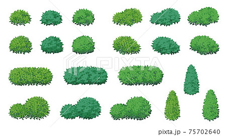 低木のイラスト素材セット 木の葉の茂みのイラスト素材
