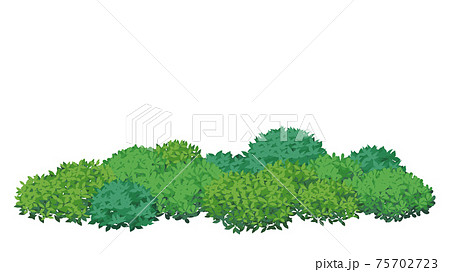 低木のフレームイラスト素材 木の葉の茂みのイラスト素材