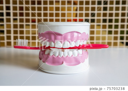 Clean teeth dental jaw model and red thooth brush on table in dentists office. Clean teeth dental jaw model and red thooth brush on table in dentists office. 75703238