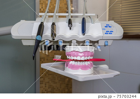 Clean teeth dental jaw model and red thooth brush on the table Clean teeth dental jaw model and red thooth brush on the table 75703244