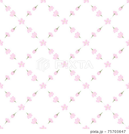 水彩 小さい 桜 かわいい 連続した 背景 壁紙のイラスト素材 75703647 Pixta