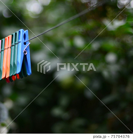 Clothespins on a rope hanging outside house and apple tree Clothespins on a rope hanging outside house and apple tree 75704376