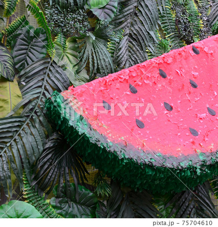 Tropical pattern with jungle leaves and watermelon fruit floral background Tropical pattern with jungle leaves and watermelon fruit floral background 75704610