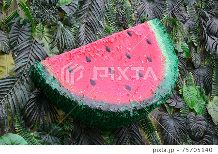 Tropical pattern with jungle leaves and watermelon fruit floral background Tropical pattern with jungle leaves and watermelon fruit floral background 75705140