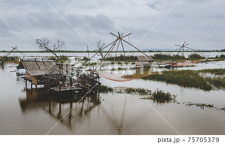 Fisherman cottage in swamp and square dip fish trap. Fisherman cottage in swamp and square dip fish trap. 75705379