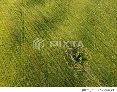 Aerial. Green grass texture background. Top view from drone. 75706634