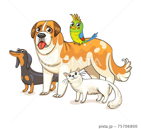 Dogs, a cat and a parrot standing together Dogs, a cat and a parrot standing together 75706800