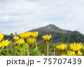 里山の春 75707439