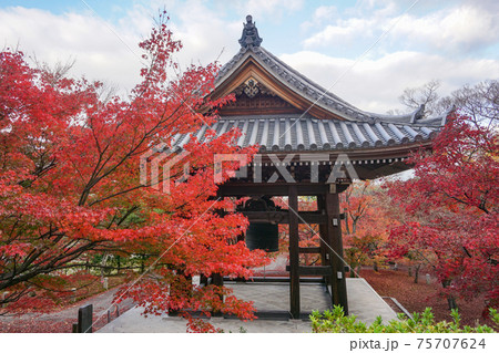 秋の京都　智積院の紅葉 75707624