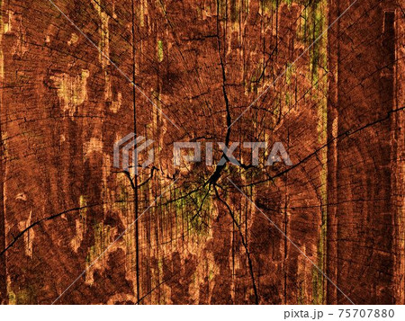 wood texture 75707880