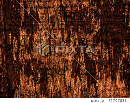 wood texture wood texture 75707881
