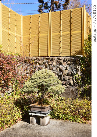 高尾駒木野庭園の春　八王子市 75708155