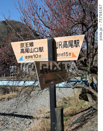 高尾駒木野庭園の春　八王子市 75708167