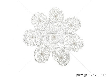 レース素材 75708647