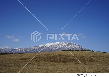 小岩井農場から見える岩手山 75708828