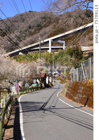 裏高尾春の印象 八王子市 裏高尾春の印象 八王子市 75709113