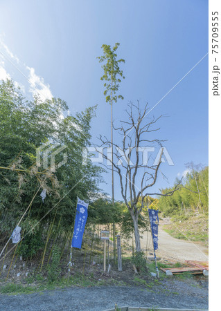 明智藪 明智藪 75709555