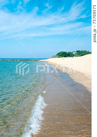透明度が素晴らしいハワイ海水浴場 透明度が素晴らしいハワイ海水浴場 75709575