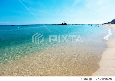 透明度が素晴らしいハワイ海水浴場  75709620