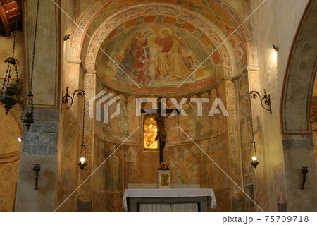 ウーディネ 75709718