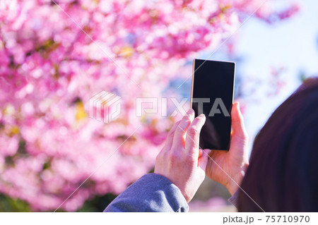 花見 スマホ 撮影 【ウィズコロナのニューノーマル】 花見 スマホ 撮影 【ウィズコロナのニューノーマル】 75710970