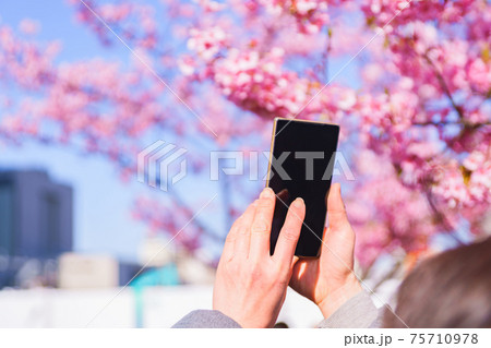 花見 スマホ 撮影 【ウィズコロナのニューノーマル】 花見 スマホ 撮影 【ウィズコロナのニューノーマル】 75710978