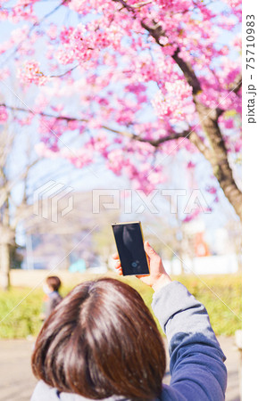 花見 スマホ 撮影 【ウィズコロナのニューノーマル】 花見 スマホ 撮影 【ウィズコロナのニューノーマル】 75710983