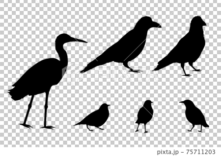 鳥のシルエット。 鳥のシルエット。 75711203