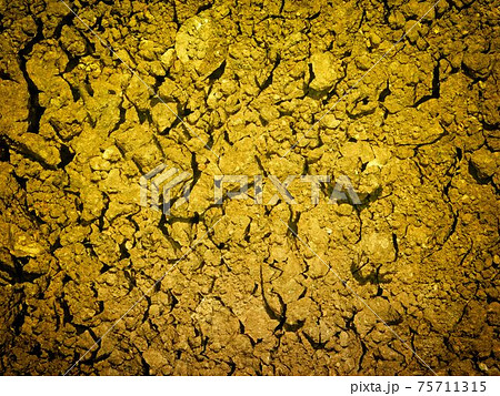ground texture 75711315