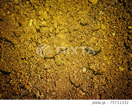ground texture 75711332
