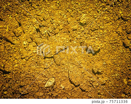 ground texture ground texture 75711336