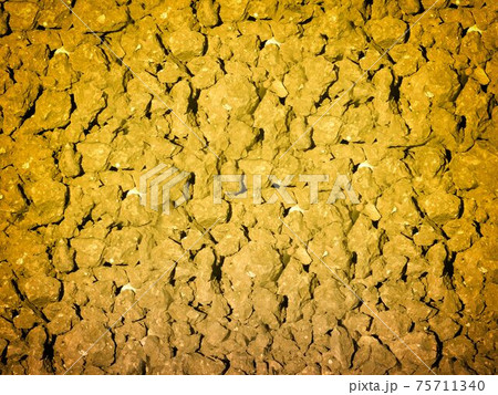 ground texture 75711340