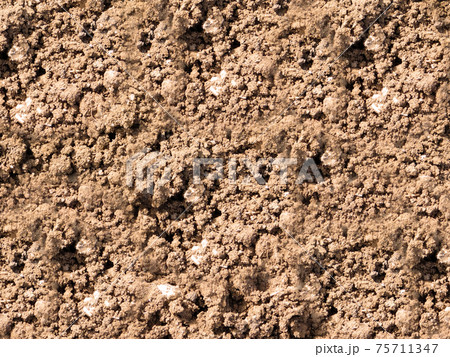 ground texture 75711347