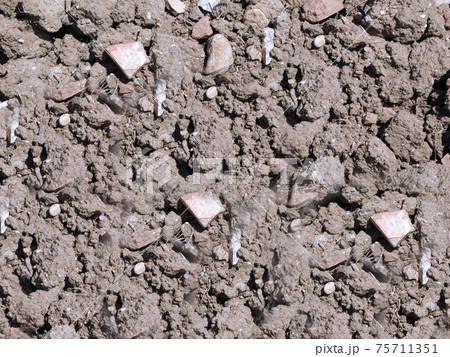 ground texture ground texture 75711351