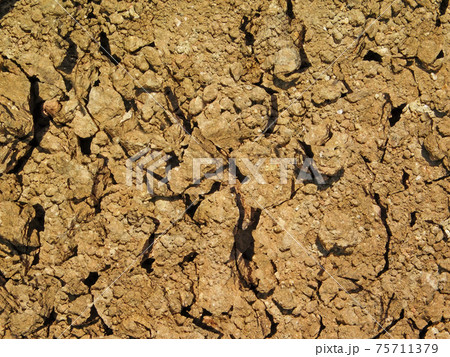 ground texture ground texture 75711379