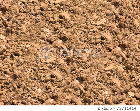 ground texture 75711414