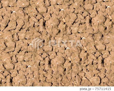 ground texture 75711415