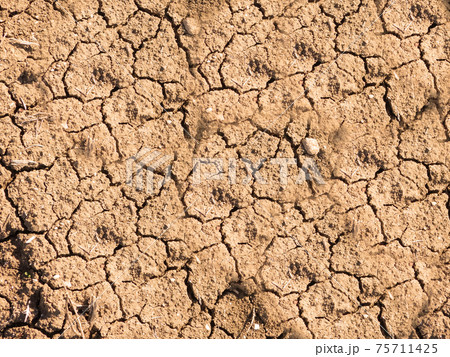 ground texture ground texture 75711425