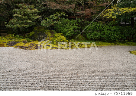 《京都府》禅寺の石庭 75711969