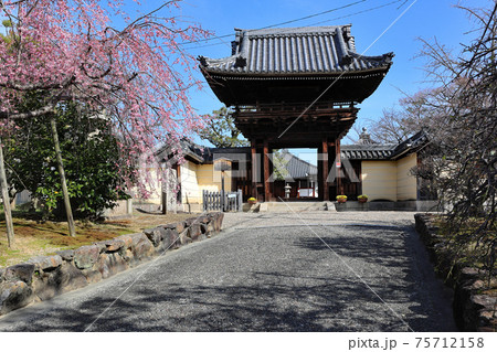 尼寺　道明寺 75712158