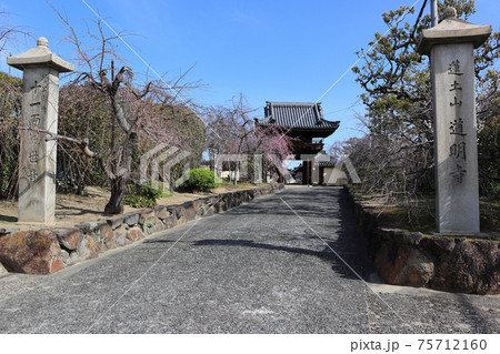 尼寺　道明寺 75712160
