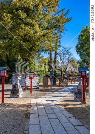 埼玉の都市風景 鷲宮神社周辺の風景 埼玉の都市風景 鷲宮神社周辺の風景 75713692